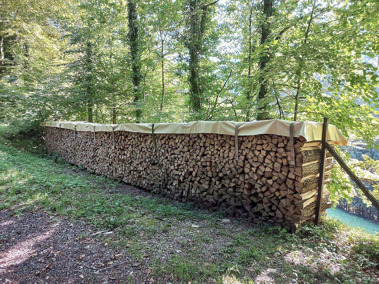 Holzstapel am Waldrand